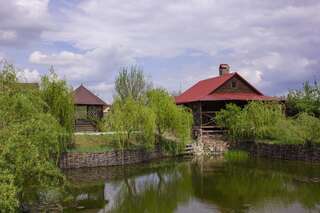 Дома для отпуска Уютная усадьба с озером возле леса Voropaivka Дом с 3 спальнями-10