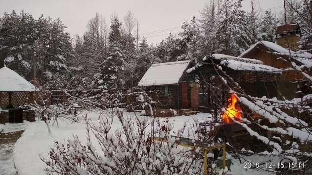 Дома для отпуска Уютная усадьба с озером возле леса Voropaivka-33